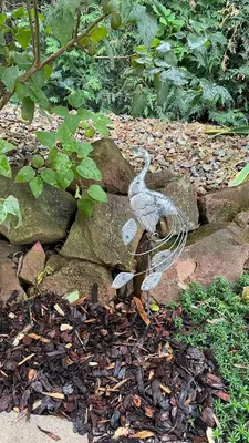 Ein Garten an der Unterkunft Ferienwohnung Sonnenschein