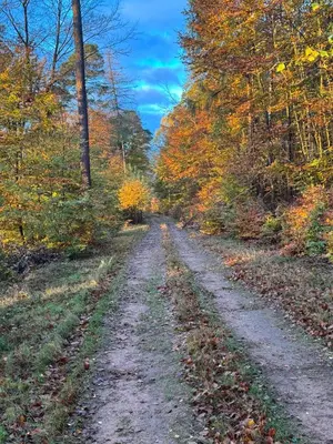 Naturlandschaft in der Nähe des Ferienhauses