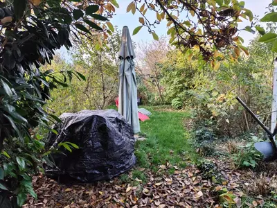 Ein Garten an der Unterkunft Speyer Vintage Stil Ferienwohnung Hundefreundlich