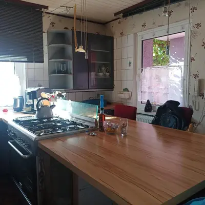 Küche/Küchenzeile in der Unterkunft Speyer Vintage Stil Ferienwohnung Hundefreundlich