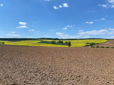 Naturlandschaft in der Nähe des Ferienhauses