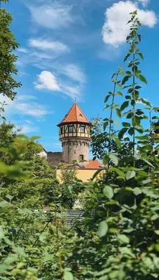 Grundriss der Unterkunft Hotel Traube Rheinhessen