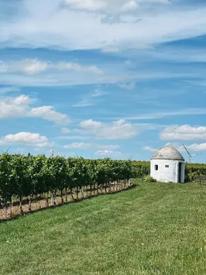Ein Garten an der Unterkunft Hotel Traube Rheinhessen