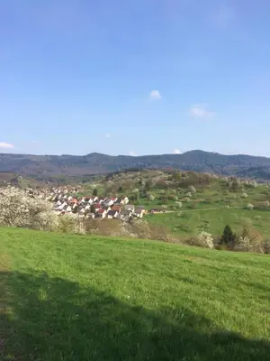 Naturlandschaft in der Nähe der Ferienwohnung