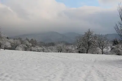 Ferienwohnungen Brack in Gaggenau im Winter