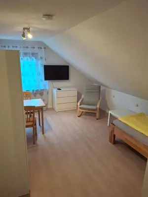 TV/Unterhaltungsangebot in der Unterkunft Apartmenthaus Edingen