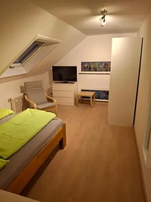 TV/Unterhaltungsangebot in der Unterkunft Apartmenthaus Edingen