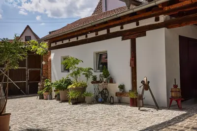 Ein Garten an der Unterkunft Winzerlodge, Wohnung Kirchberg