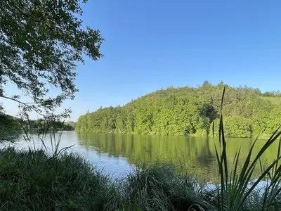 Naturlandschaft in der Nähe der Ferienwohnung