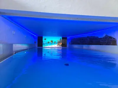 Der Swimmingpool an oder in der Nähe von Luxus-Wohnung mit IndoorPool