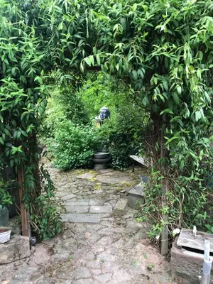 Ein Garten an der Unterkunft Ferienwohnung Zentral