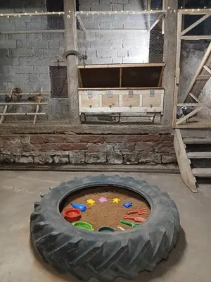 Grundriss der Unterkunft Ferienwohnung 