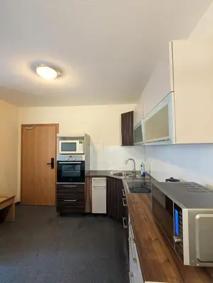 Küche/Küchenzeile in der Unterkunft City Rooms Rastatt