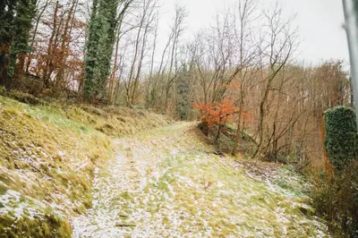 Naturlandschaft in der Nähe der Ferienwohnung