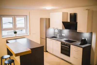 Küche/Küchenzeile in der Unterkunft HUGOS Design Apartment am Waldrand - ruhig & modern