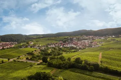 Naturlandschaft in der Nähe der Ferienwohnung