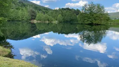Naturlandschaft in der Nähe der Ferienwohnung