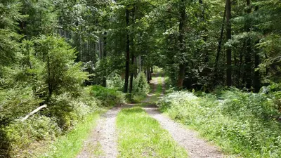 Naturlandschaft in der Nähe des Hotels