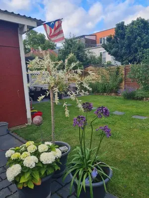 Ein Garten an der Unterkunft Wohnung mit Wintergarten