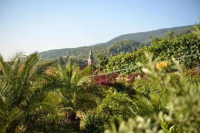 Naturlandschaft in der Nähe der Pension