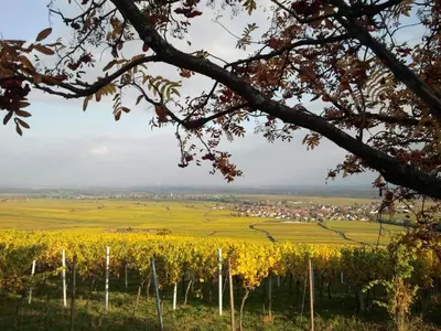 Naturlandschaft in der Nähe der Ferienwohnung