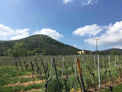 Ein allgemeiner Bergblick oder ein Berglick von der Ferienwohnung aus