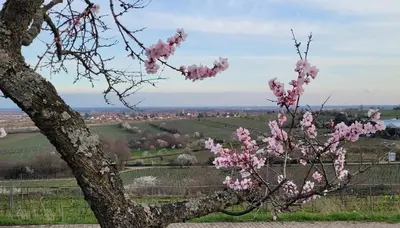 Naturlandschaft in der Nähe der Ferienwohnung