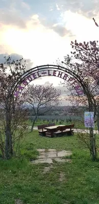 Ein Garten an der Unterkunft Ferienwohnung Freiraum