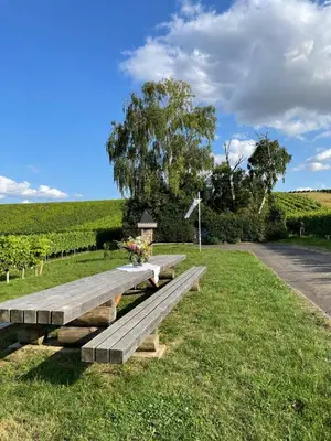 Naturlandschaft in der Nähe der Pension