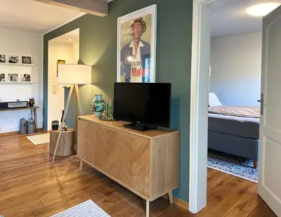 TV/Unterhaltungsangebot in der Unterkunft Zuhause auf Zeit in Mainz