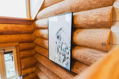 TV/Unterhaltungsangebot in der Unterkunft Naturstammhaus mit Sauna, coffee and tea for free
