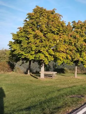 Ein Garten an der Unterkunft Ferienwohnung Zur Schönen Aussicht im Odenwald