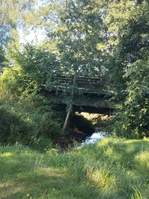 Naturlandschaft in der Nähe der Ferienwohnung