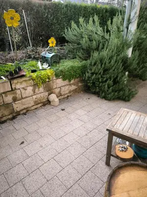 Ein Garten an der Unterkunft Weinbergblick