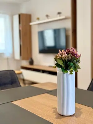 TV/Unterhaltungsangebot in der Unterkunft hygge-flats Apartment für 2-6, WLAN, Homeoffice