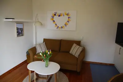 TV/Unterhaltungsangebot in der Unterkunft Ferienwohnung am Goldberg