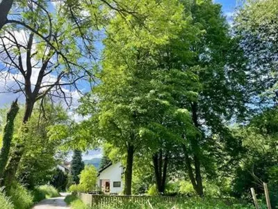 Ein Garten an der Unterkunft Odw homes - naturnahe Wohnung im Landhaus