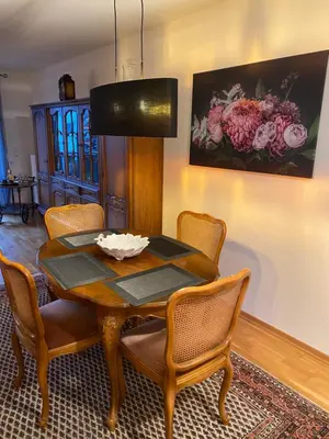 TV/Unterhaltungsangebot in der Unterkunft Stilvolle 3,5-Zimmer-Wohnung in Ilvesheim