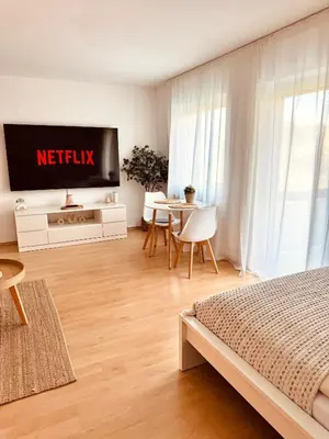 TV/Unterhaltungsangebot in der Unterkunft DEM Apartment