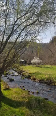 Naturlandschaft in der Nähe der Ferienwohnung