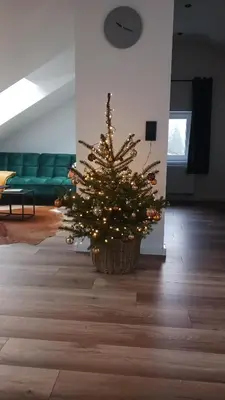Grundriss der Unterkunft Ferienhaus am Wald