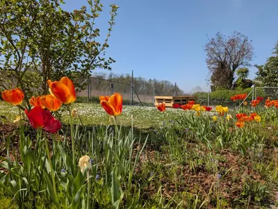 Ein Garten an der Unterkunft Apartment im Grünen
