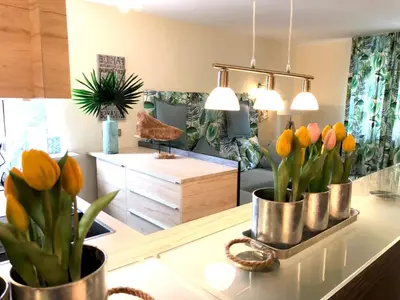 Grundriss der Unterkunft DomPanorama DER KLEINE DSCHUNGEL Apartment für 2-4 Pers