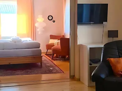 TV/Unterhaltungsangebot in der Unterkunft Apartment Vintage