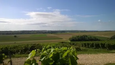 Naturlandschaft in der Nähe der Ferienwohnung