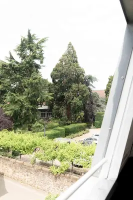 Ein Garten an der Unterkunft Apartment Mayer in Wachenheim an der Weinstraße