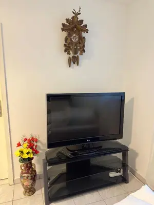 TV/Unterhaltungsangebot in der Unterkunft Holiday Apartment in Mörfelden-Walldorf