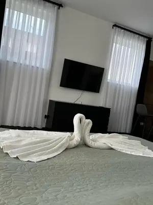 TV/Unterhaltungsangebot in der Unterkunft Elisas Appartment