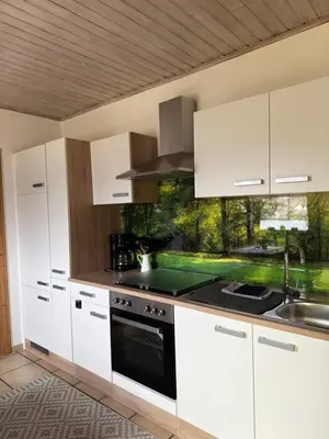 Küche/Küchenzeile in der Unterkunft Ferienwohnung Odenwaldliebe