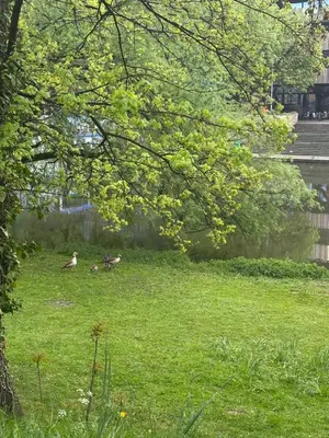 Ein Garten an der Unterkunft Wohnung am Neckar mit Tiefgarage